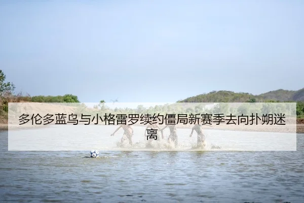 多伦多蓝鸟与小格雷罗续约僵局新赛季去向扑朔迷离