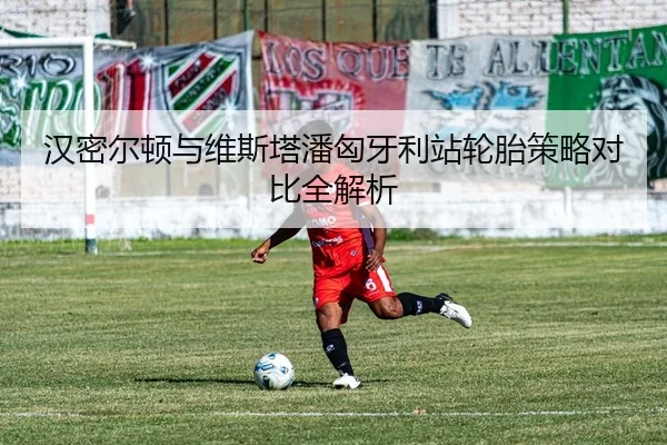汉密尔顿与维斯塔潘匈牙利站轮胎策略对比全解析